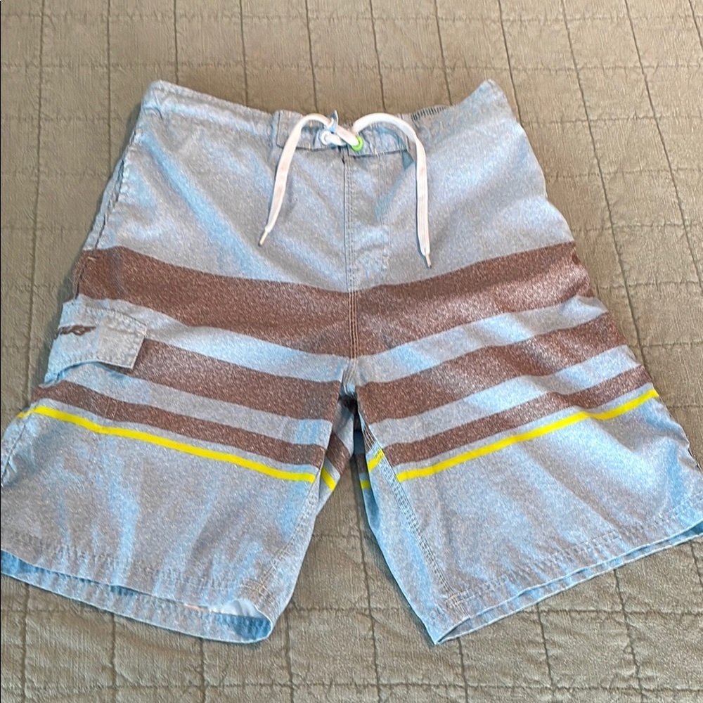 2 for $15 Men's Blue and Brown Swim Shorts